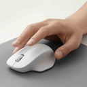 Mi Wireless Mouse Comfort Edition