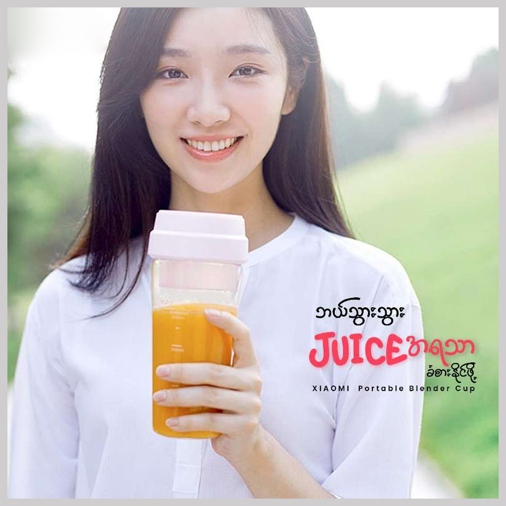 Mi Fruit Mixer (JM001)