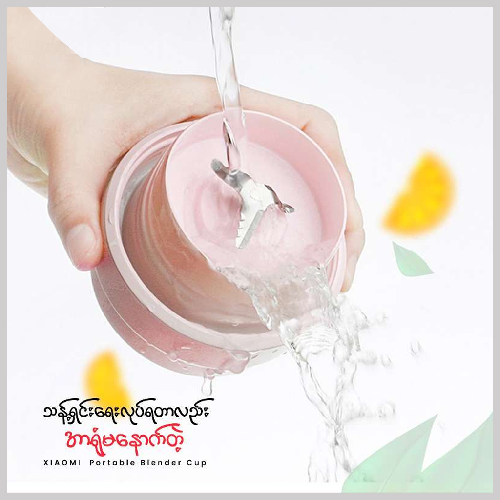 Mi Fruit Mixer (JM001)
