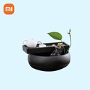 Mi MoMoYoo Fei Shui Lucky Water Fountain
