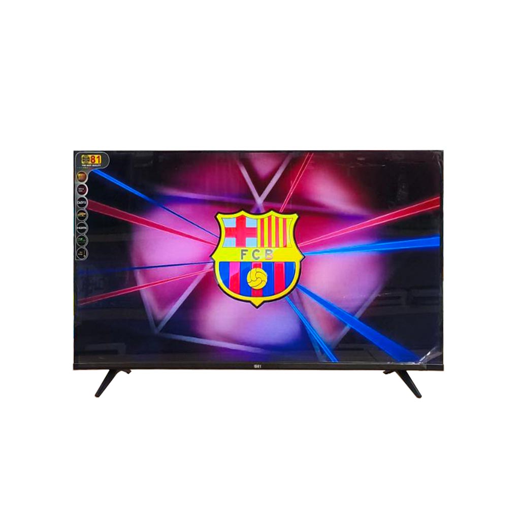 81 FT1M 43&quot; Digital TV
